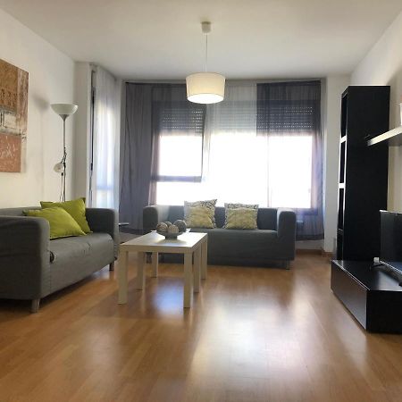 Apartamentos Ribera Navarra - Bardenas カステホン エクステリア 写真